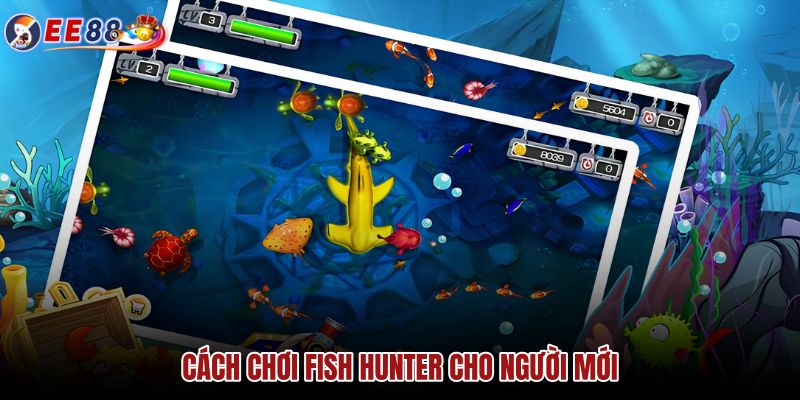 cach-choi-fish-hunter-cho-nguoi-moi cach-choi-fish-hunter-cho-nguoi-moi