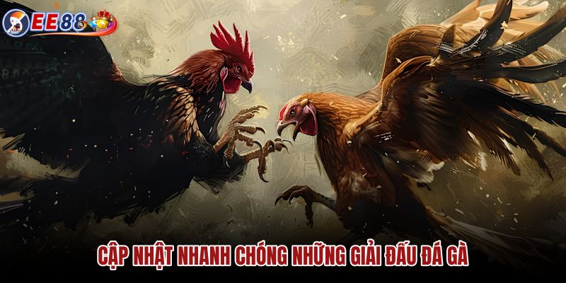 cap-nhat-nhanh-chong-nhung-giai-dau-da-ga cap-nhat-nhanh-chong-nhung-giai-dau-da-ga
