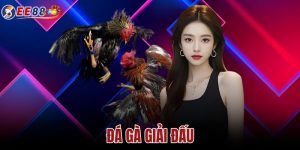 Đá Gà Giải Đấu