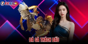 Đá Gà Thách Đấu