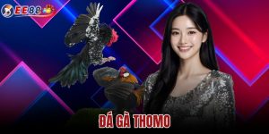 Đá Gà Thomo