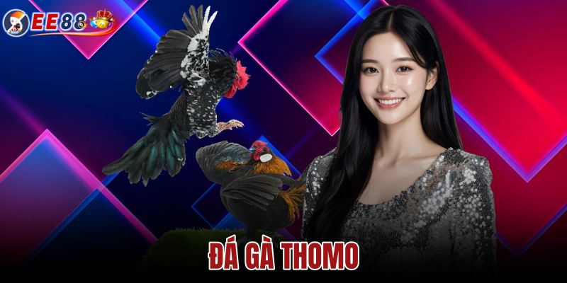 Đá Gà Thomo