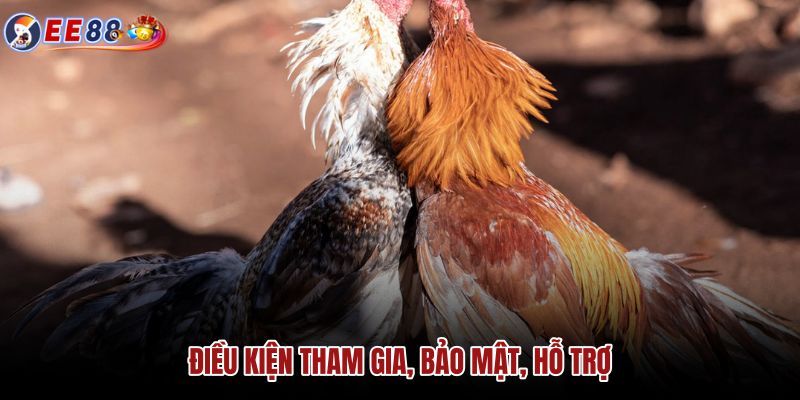 dieu-kien-tham-gia-bao-mat-ho-tro dieu-kien-tham-gia-bao-mat-ho-tro