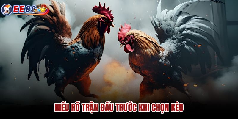 hieu-ro-tran-dau-truoc-khi-chon-keo
