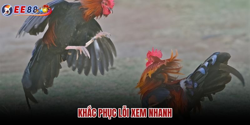khac-phuc-loi-xem-nhanh khac-phuc-loi-xem-nhanh