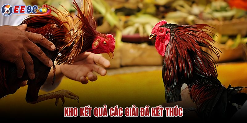 kho-ket-qua-cac-giai-da-ket-thuc kho-ket-qua-cac-giai-da-ket-thuc