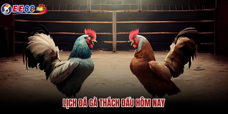 lich-da-ga-thach-dau-hom-nay