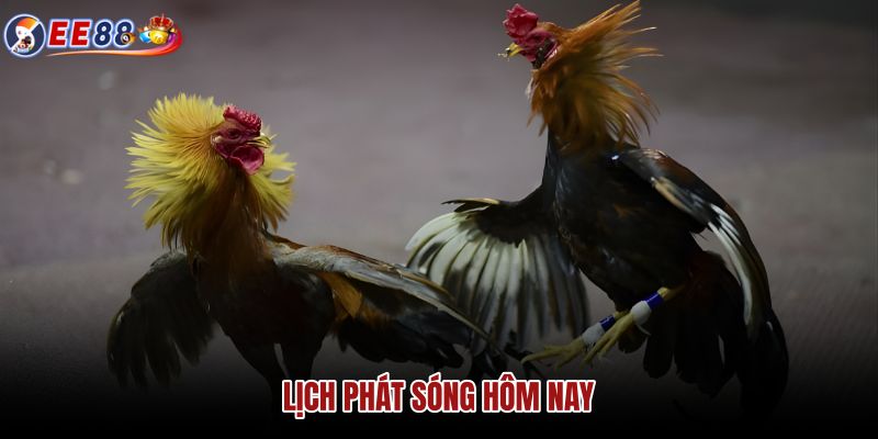lich-phat-song-hom-nay lich-phat-song-hom-nay
