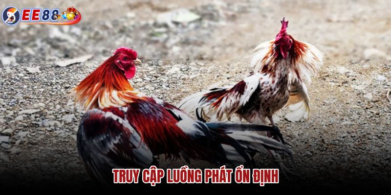 truy-cap-luong-phat-on-dinh