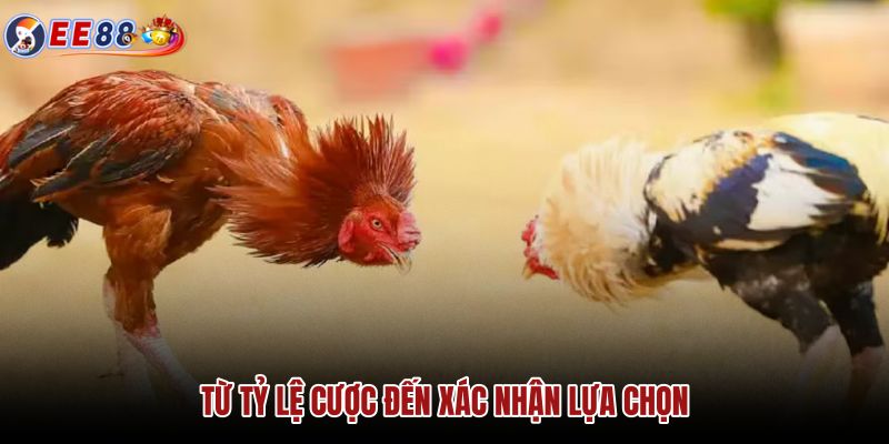 tu-ty-le-cuoc-den-xac-nhan-lua-chon tu-ty-le-cuoc-den-xac-nhan-lua-chon